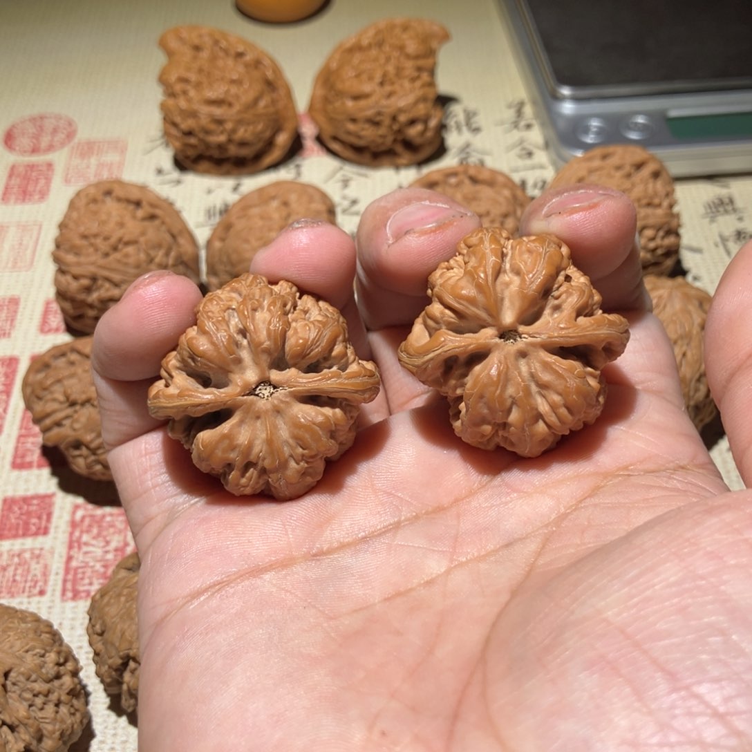 文玩核桃吊坠羊***哥大粗筋35尺全品