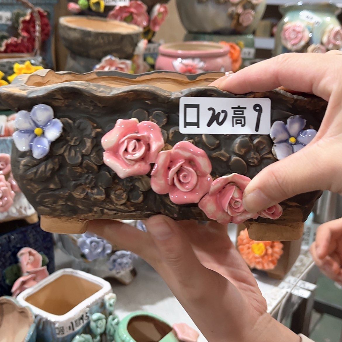 【闪购商品】红陶福利