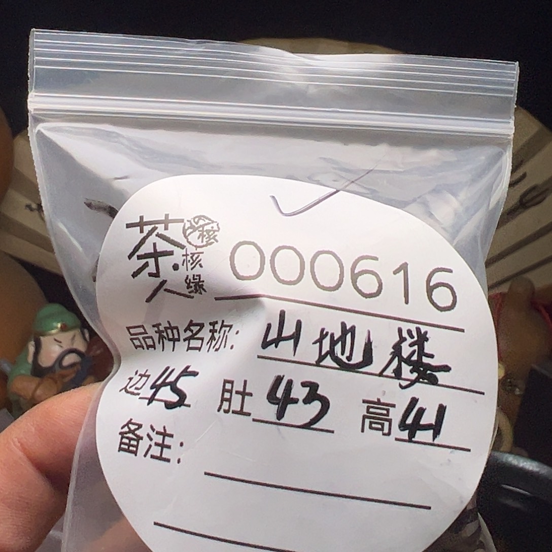 文玩核桃吊坠今天