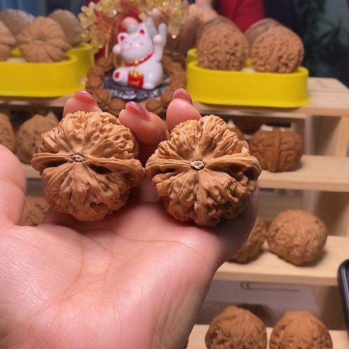9***y48尺寸的大粗筋核桃