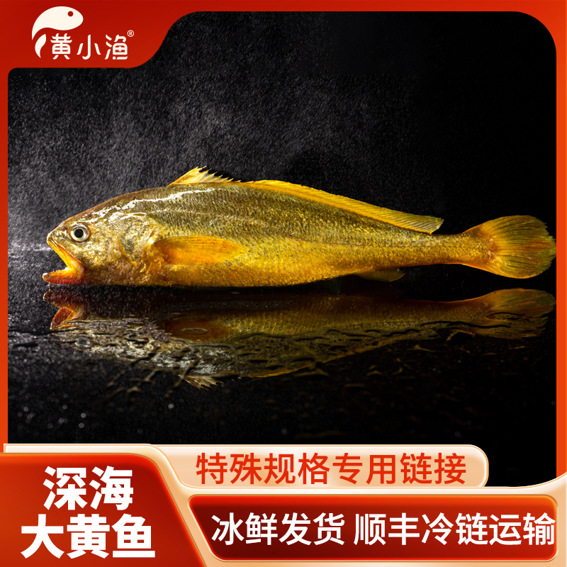 3斤/条一箱顺丰宁德特产冰鲜大黄花鱼深海有机半野顺丰直发