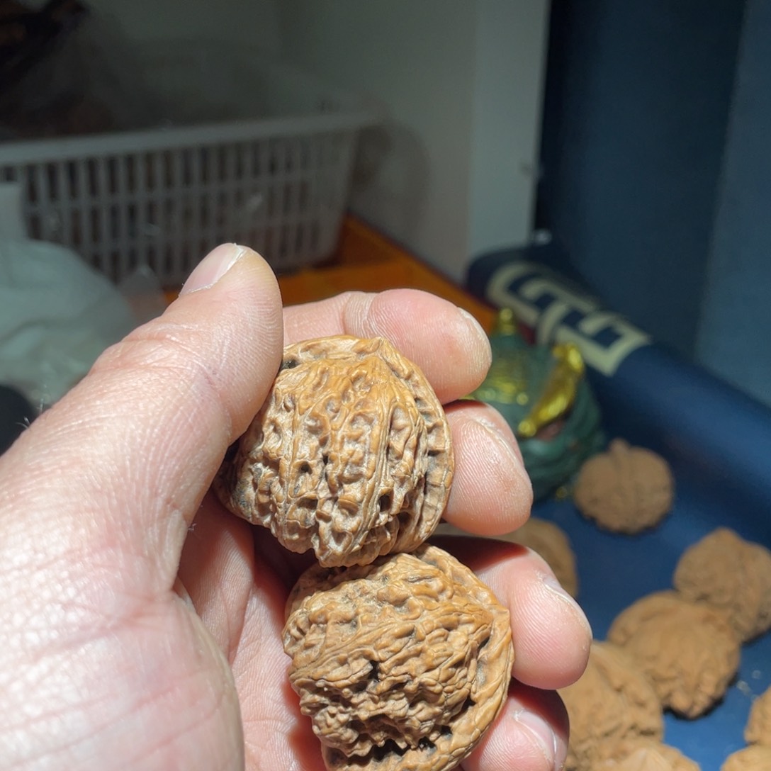 核桃手串/手链玩*人38全品 三角白