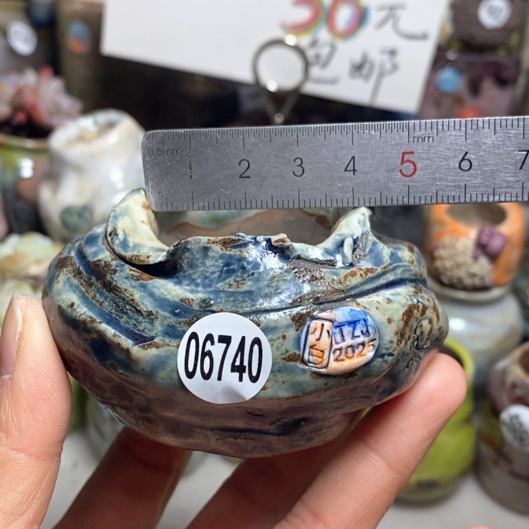 花盆拍3送一个小礼物