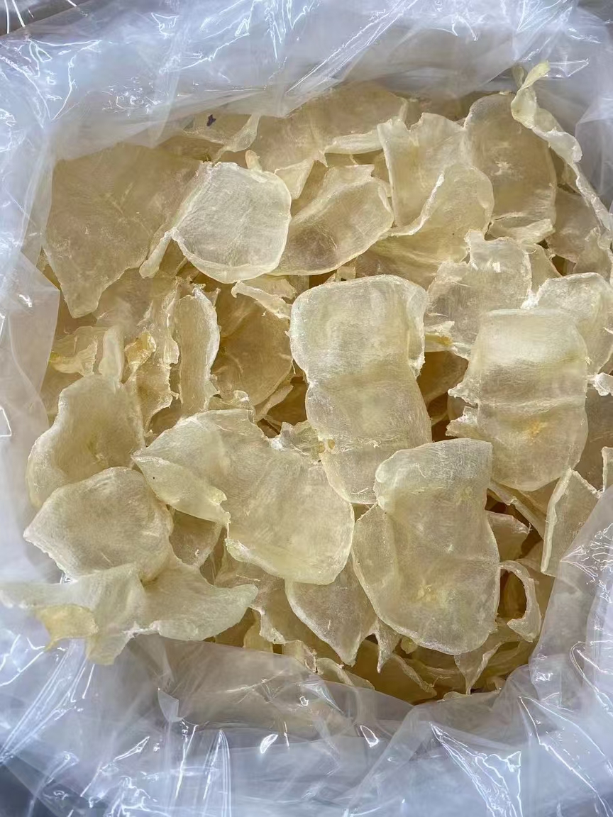 天然低腥蝴蝶胶鱼胶花胶炖奶煲汤营养丰富