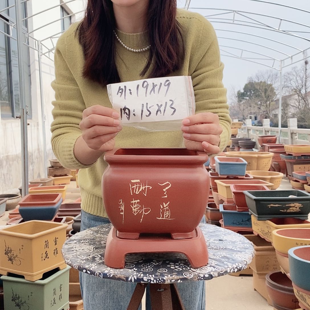 紫砂花盆紫砂花盆