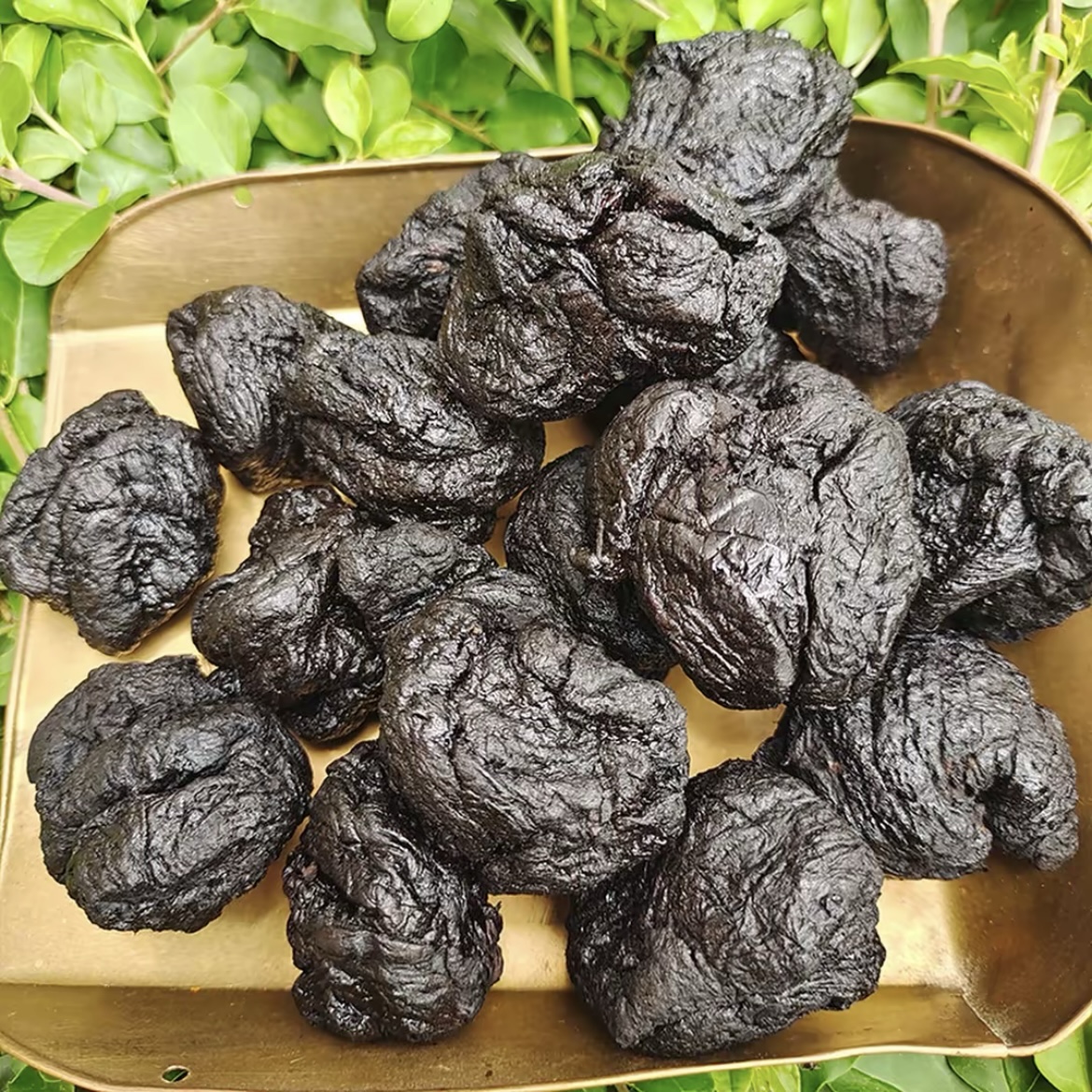 静姐现收山货传统滋补品【熟地黄】