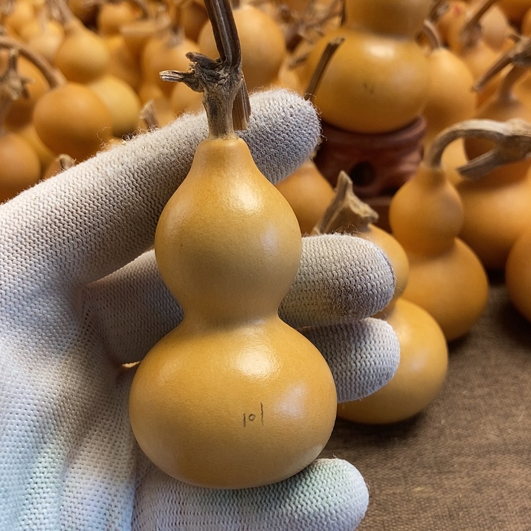 文玩葫芦 完美主义者 慎拍101