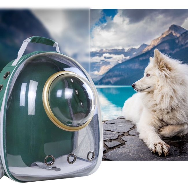 猫猫包外出便携包透明高颜值宠物猫包猫包外出狗柯宠物轻便斜挎包