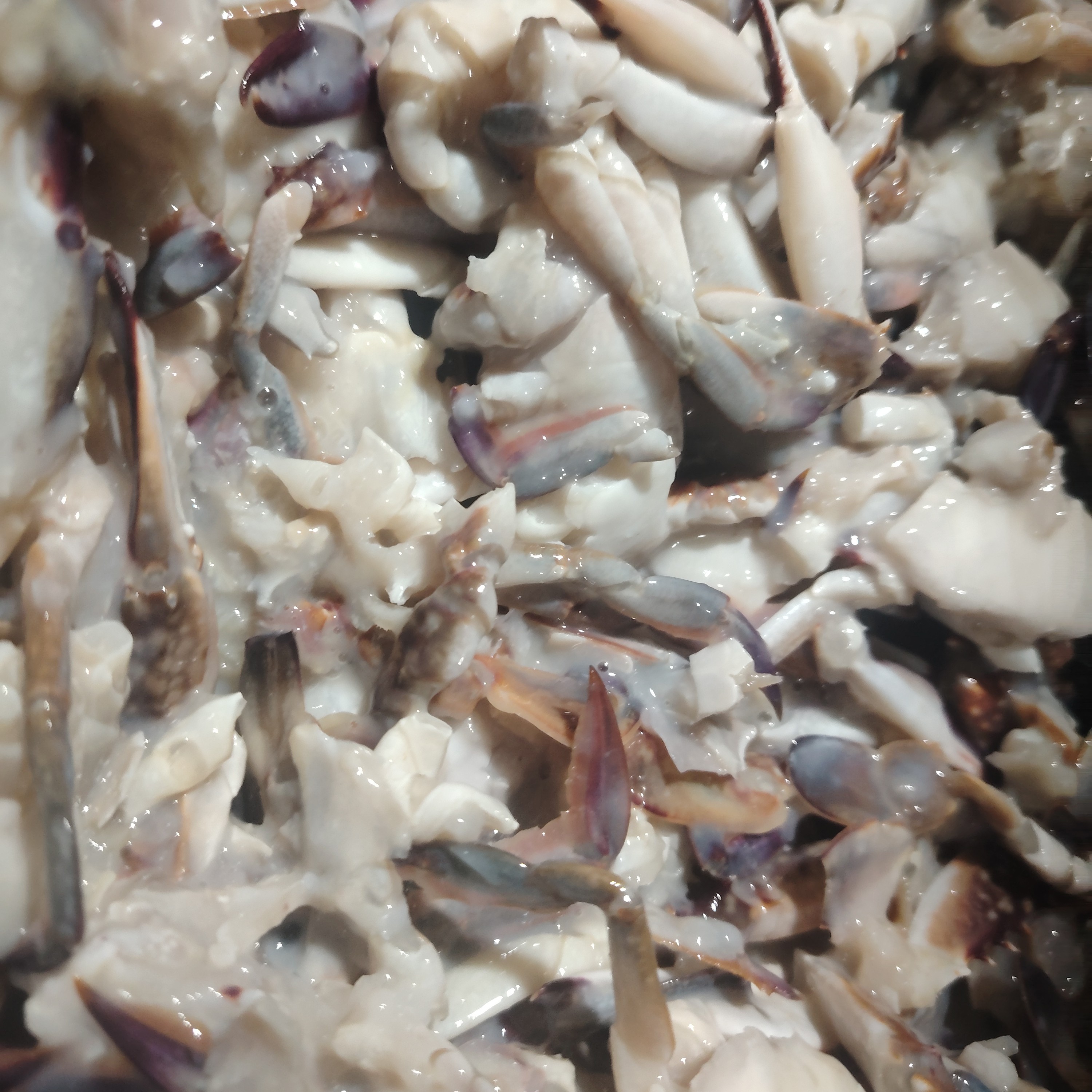 自家渔船用制作的（1.8—2）斤装