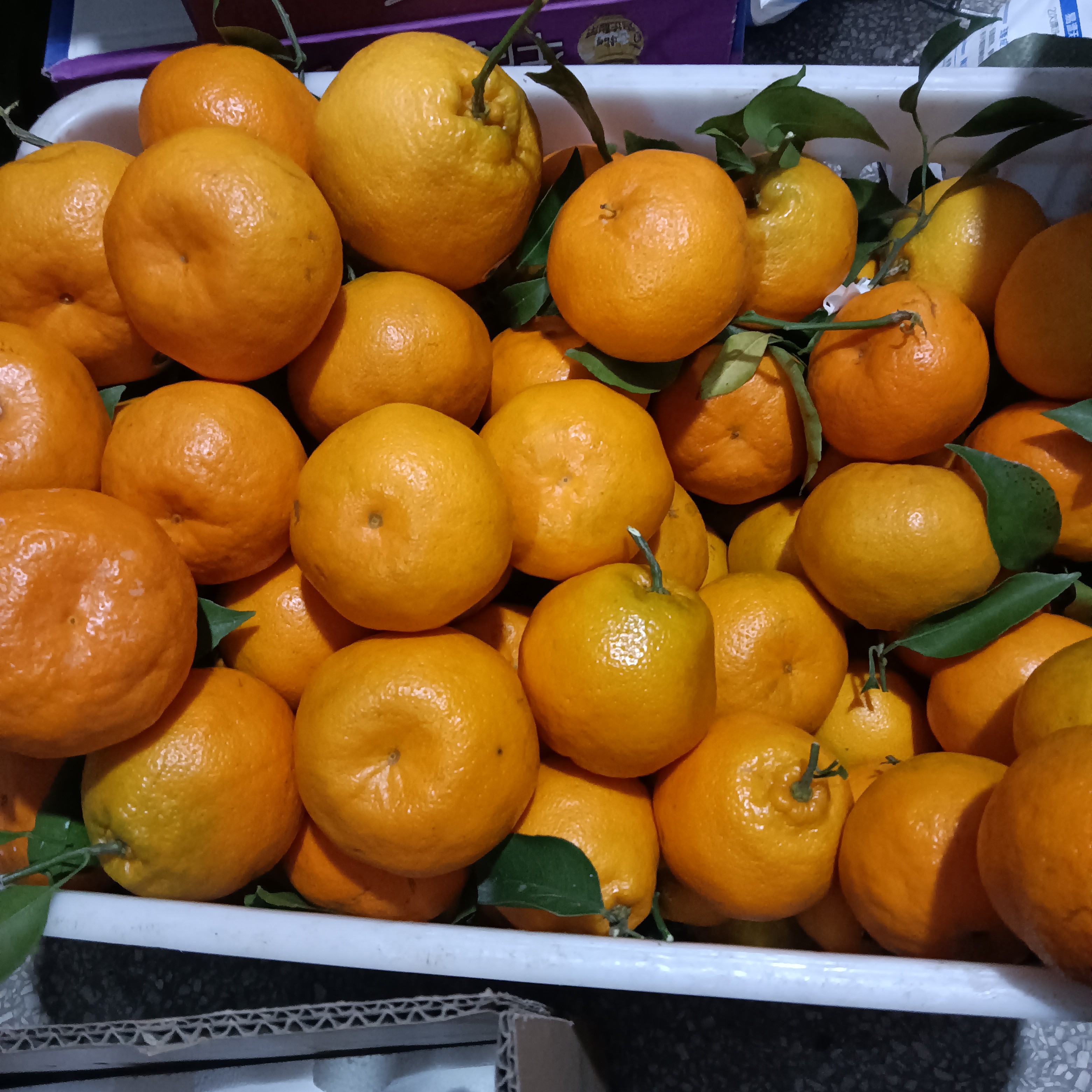 大雅柑橘！口感非常好，汁水丰富，入口爆汁儿