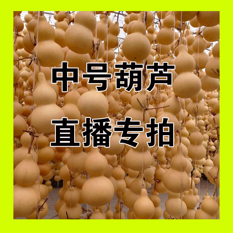 葫芦把件文玩葫芦《直播拍品专用链接》直接下单无效