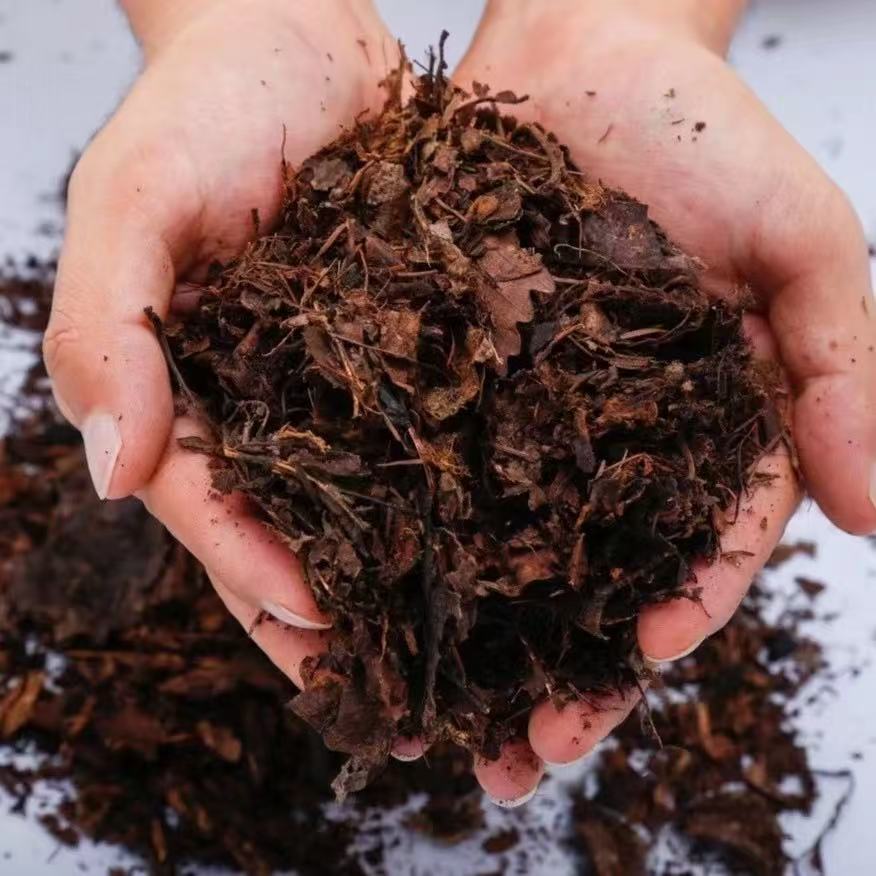 腐熟橡树叶发酵营养土弱酸性疏松适合君子兰兰花等花卉栽种