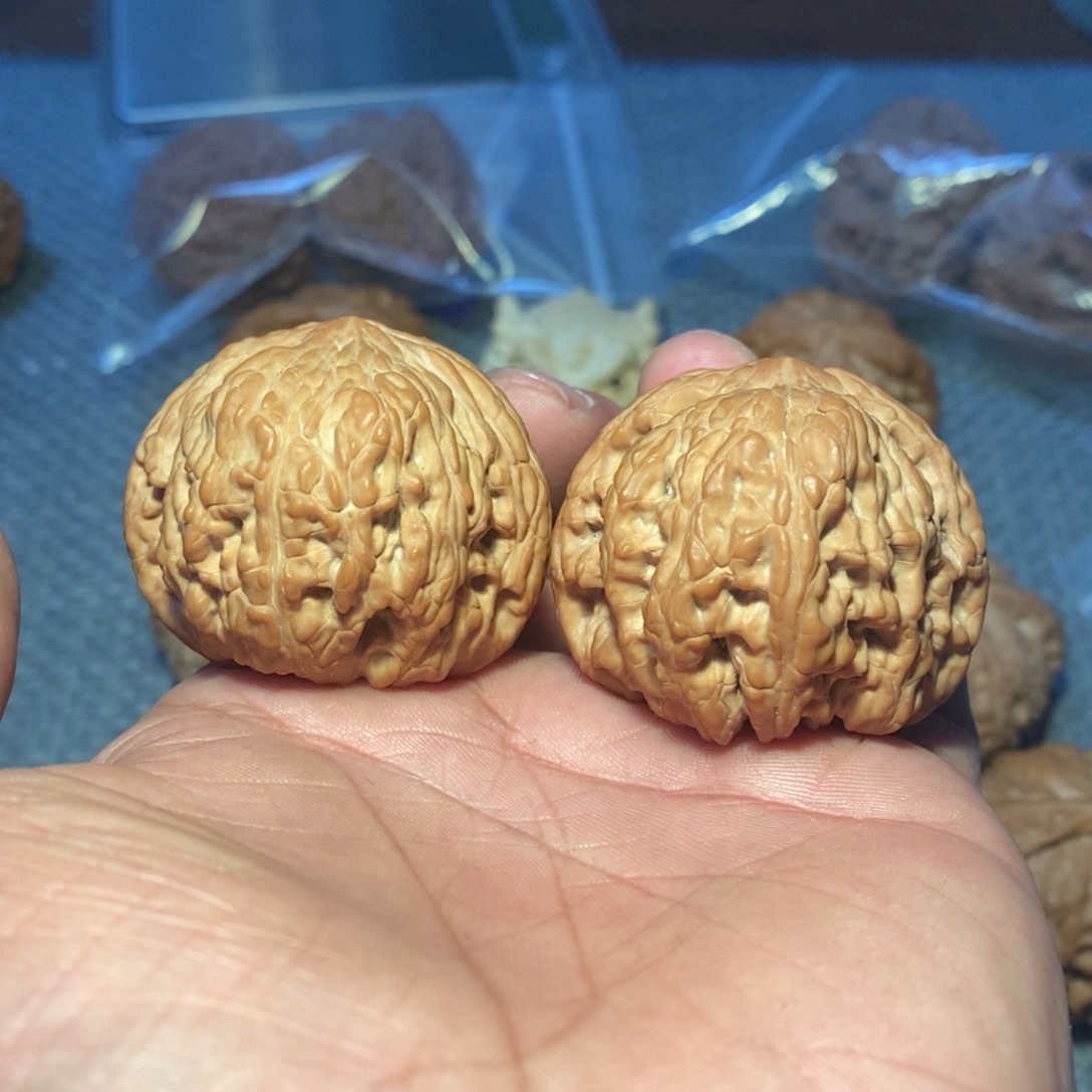 43泥鳅背。57克重。     