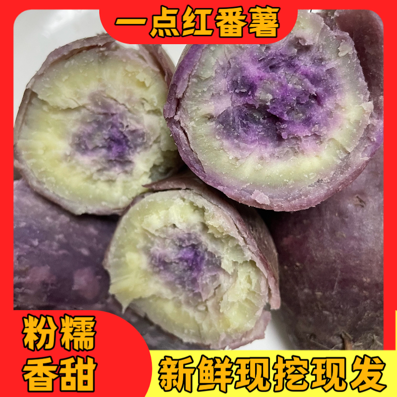 广东雷州本地新鲜现挖一点红番薯 