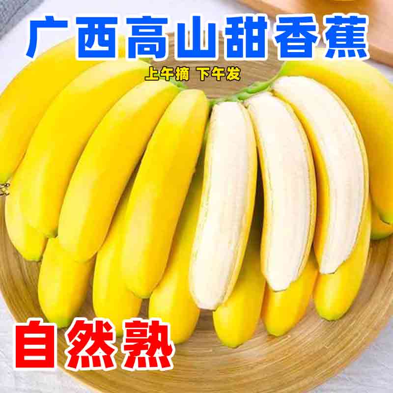 高山甜香蕉新鲜现摘青皮香蕉高原蕉暴甜水果广西特产青香蕉