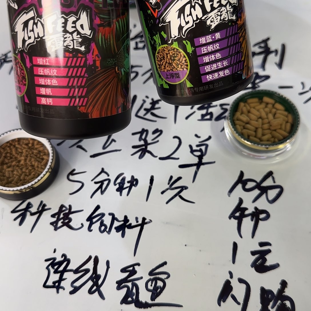 热带鱼公101111111111