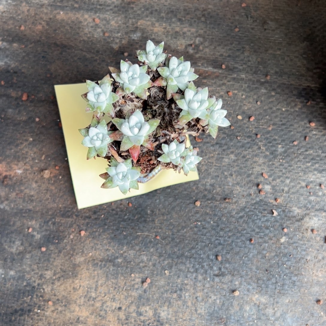 小***睛666666666666666666