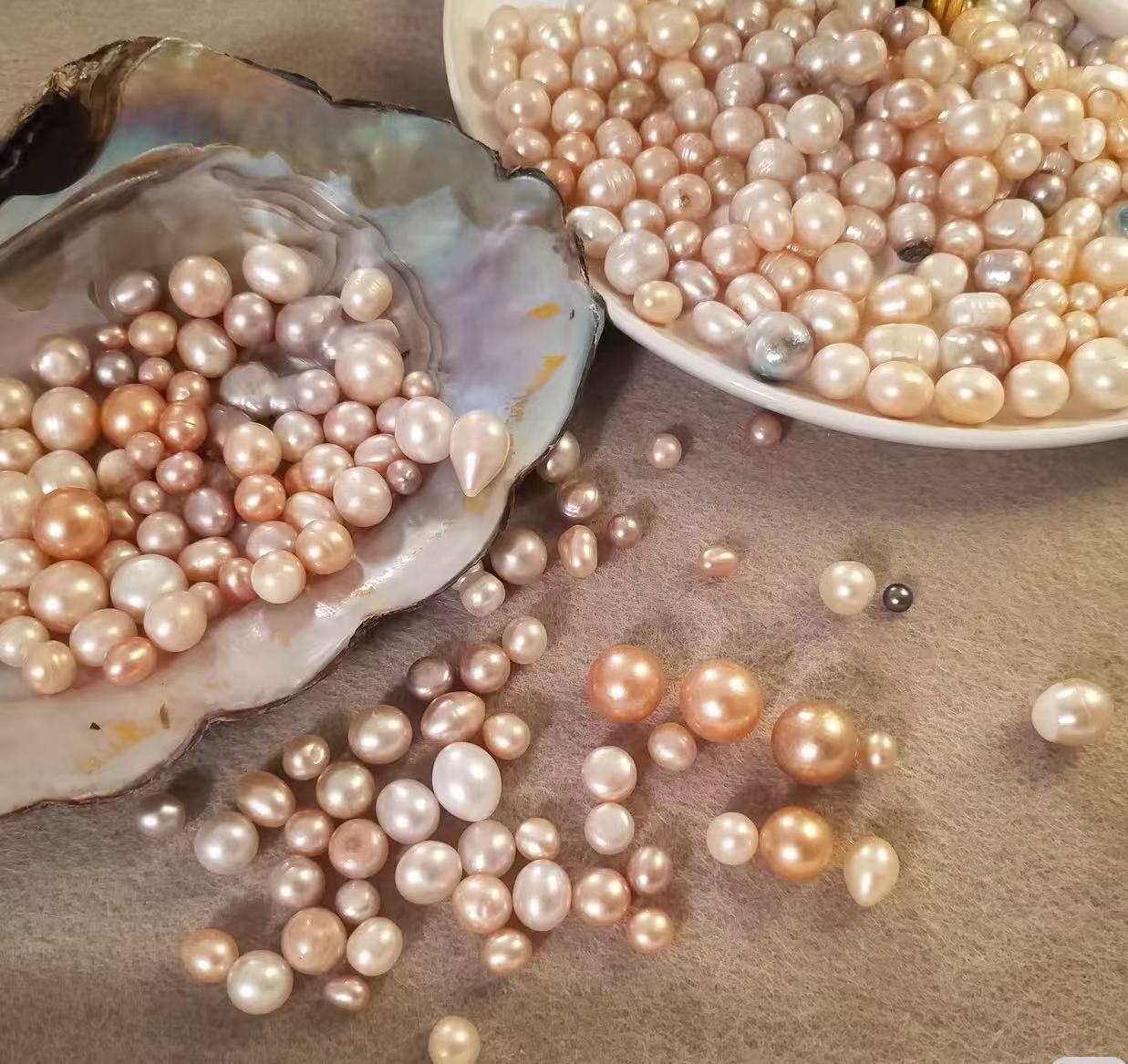 炫彩无核多珠蚌 活体开蚌不退不换 可定制