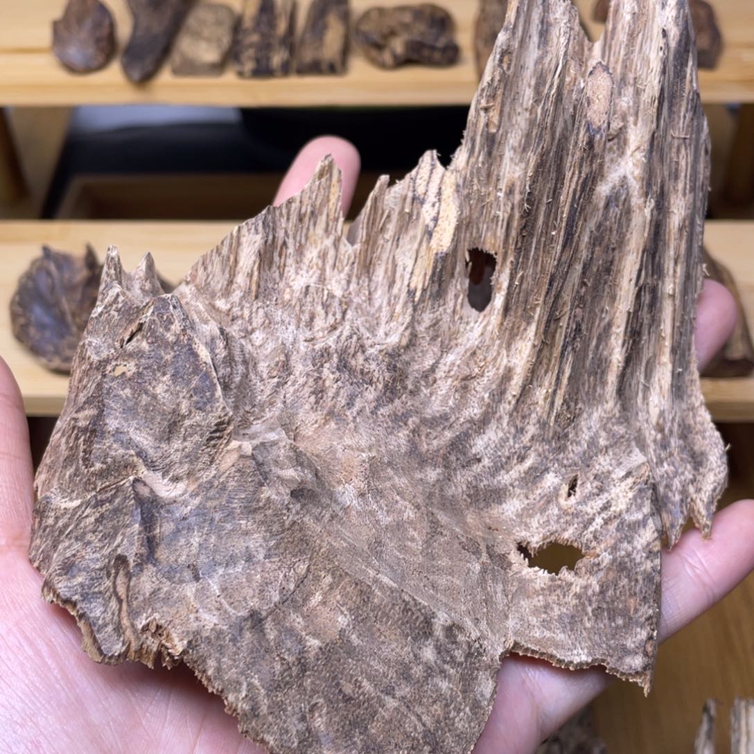 25.4克海南尖峰吊齿香