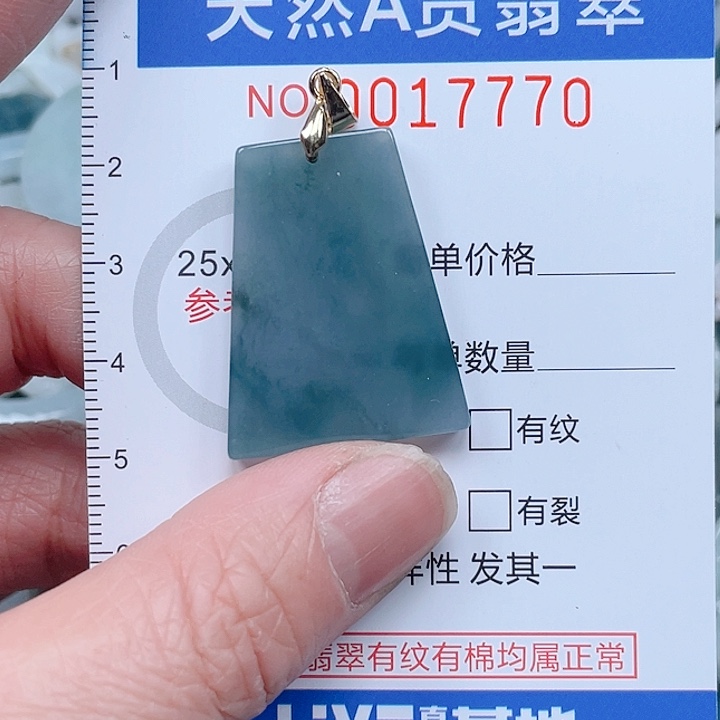 翡翠未镶嵌吊坠(不含链)