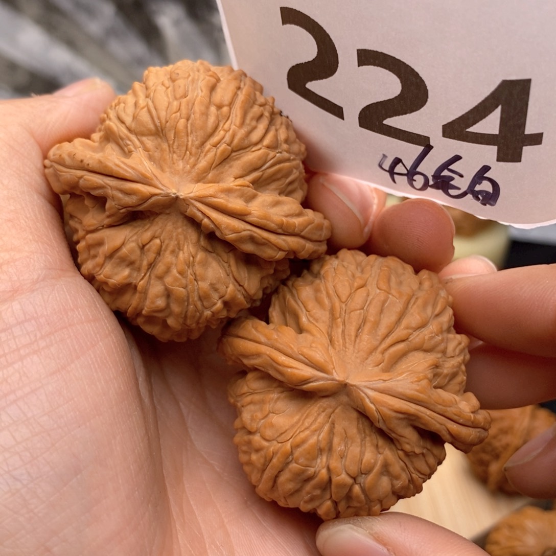 文玩核桃把件224号46全白