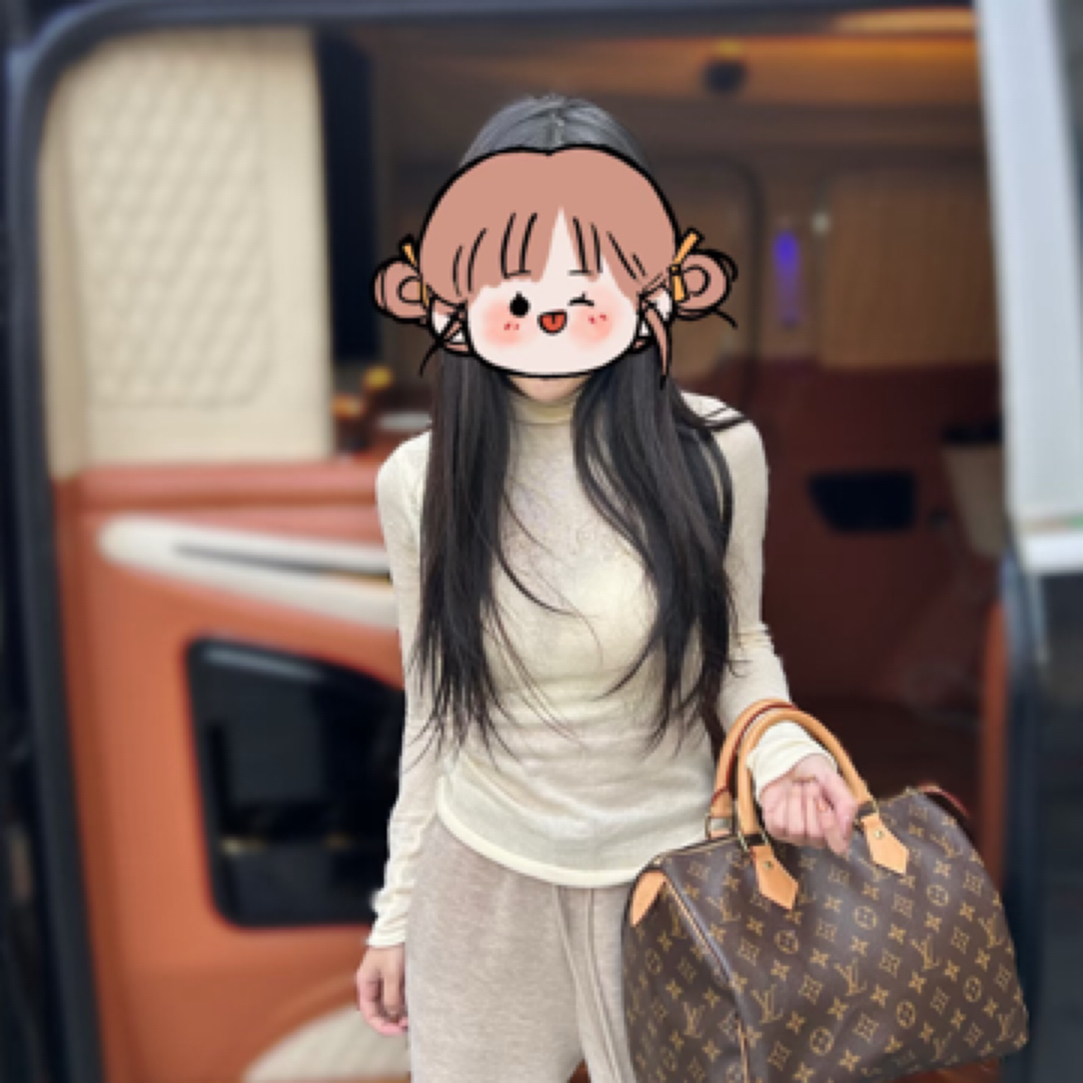 95新 LouisVuitton/路易威登 LV老花30手提 973048