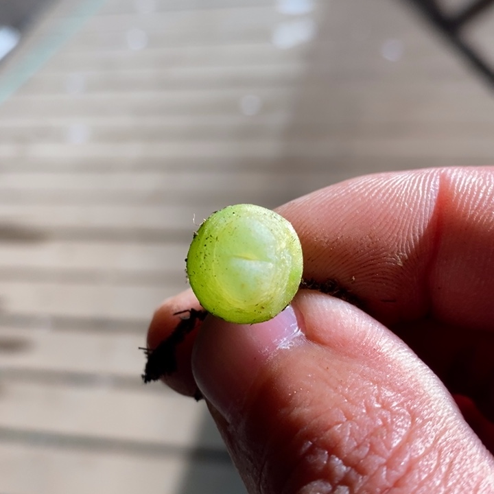 16261一个一个一个