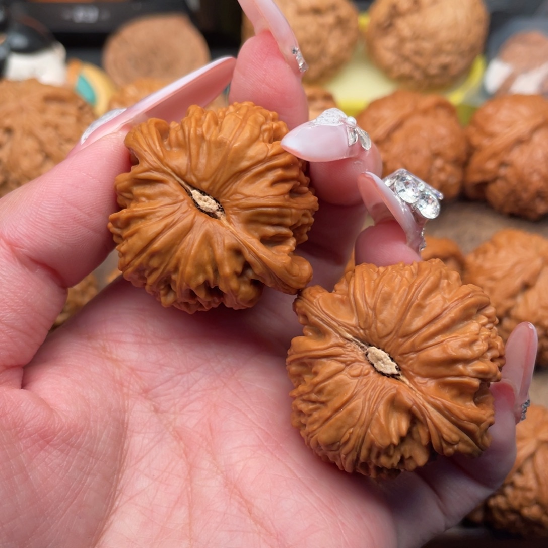 把件文玩核桃全品白狮子41，卡姿兰底