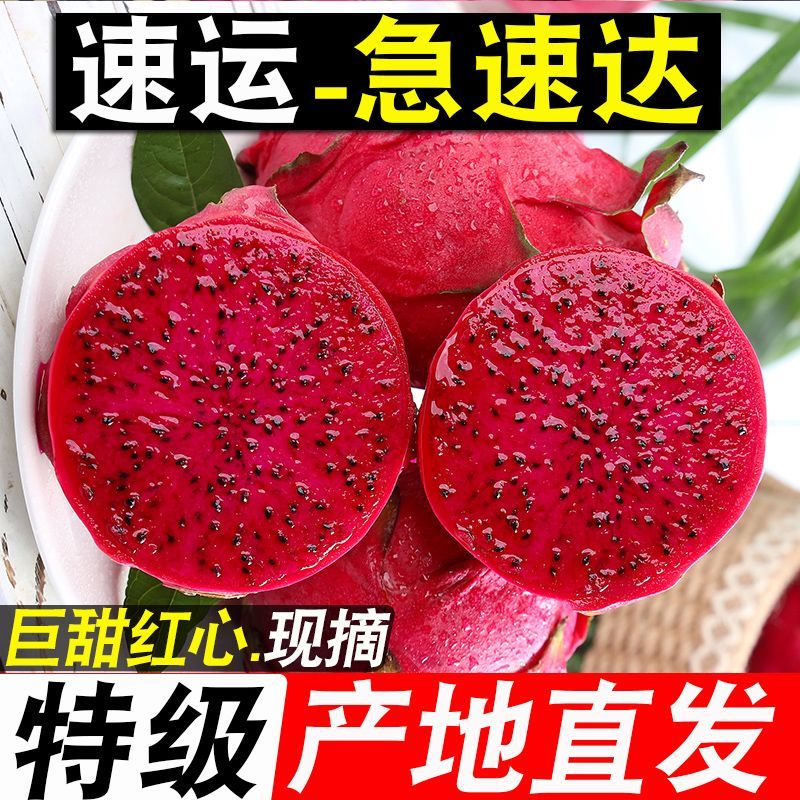 【助农优选】产地直发红心火龙果新鲜现摘超甜红肉正宗金都一号