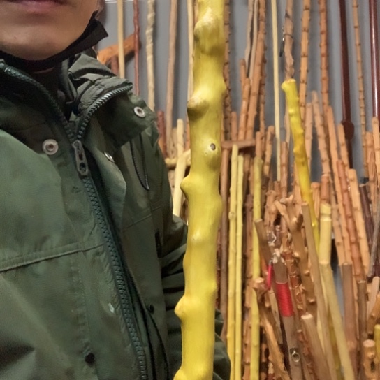 玉***神黄龙伯长141厘米粗3.0左右