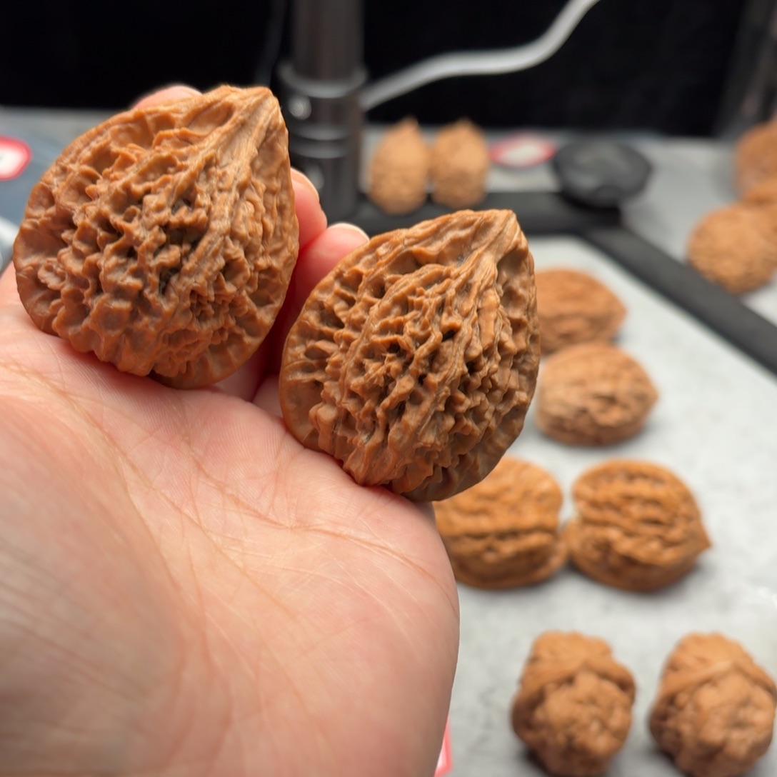 文玩核桃吊坠鸭嘴兽【4101】41.33.49