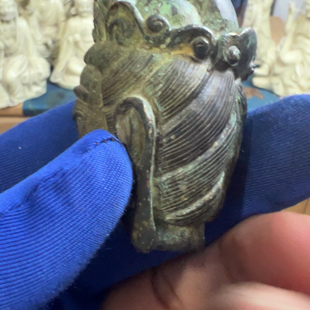 茶宠哈哈哈哈哈哈哈哈哈哈哈哈哈哈