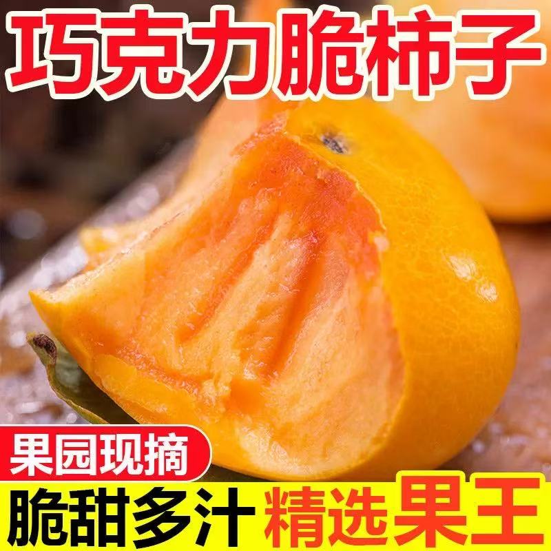 阳丰脆柿新鲜采摘不涩口应季鲜果阳丰巧克力脆柿子不麻嘴不涩口