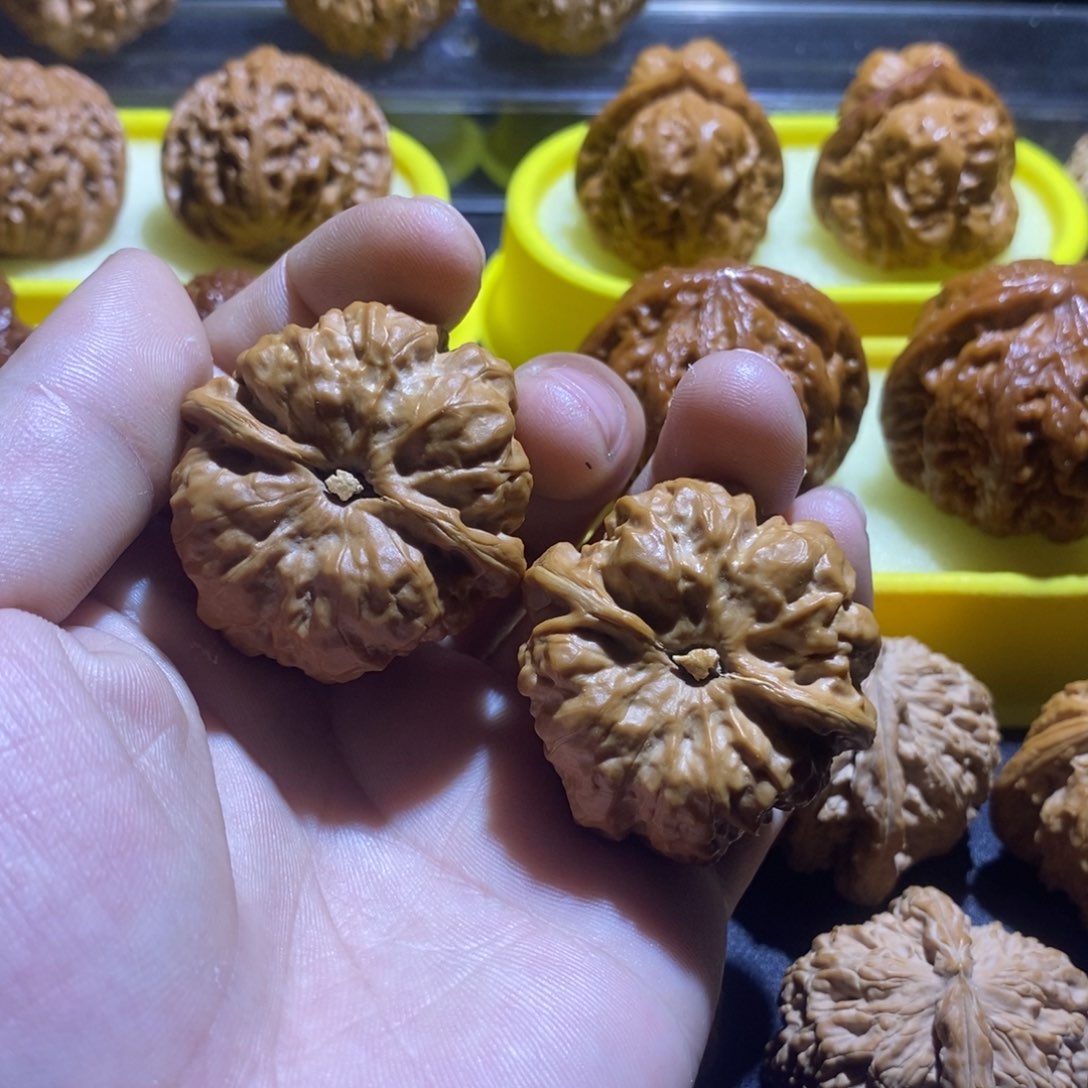 S*k蛤蟆头边339肚40打底