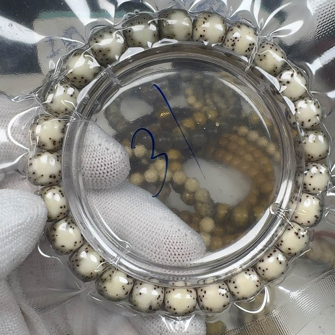 星月菩提吊坠98河豚31号