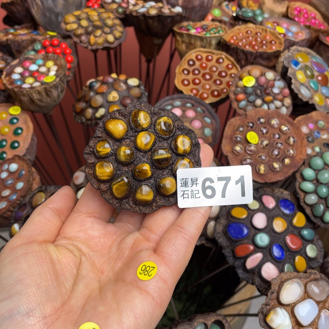 核桃木/黑胡桃（胡桃木）艺*671