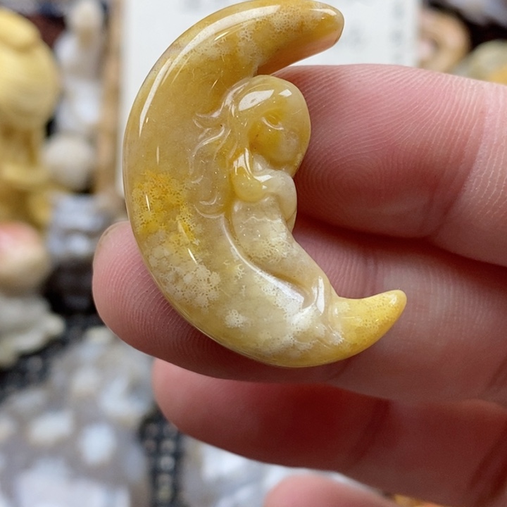 颈饰未镶嵌硅化珊瑚（珊瑚玉）小