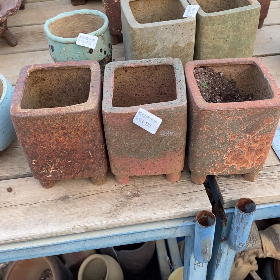 红陶飘**飞95号三个多肉盆组合