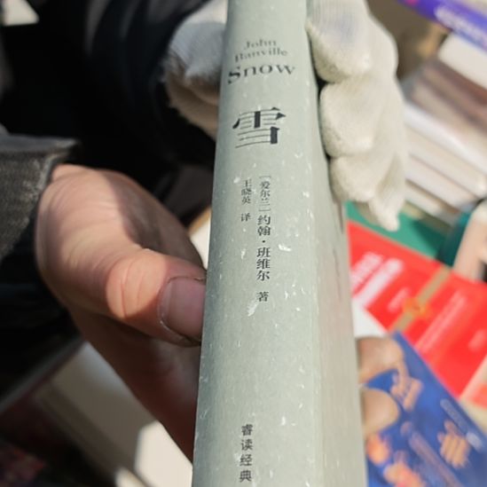 雪精装库存书（务必塑封）没书