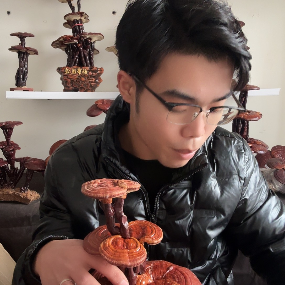 文***无花朵88888888888