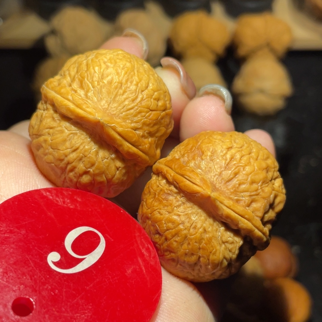 龙珠34尺寸核桃。  