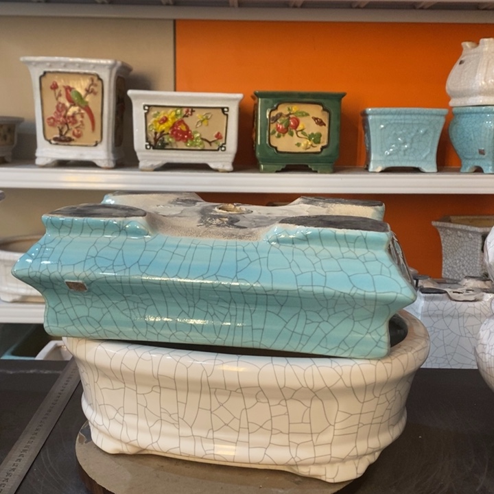 红陶凡*花盆里的小猫咪们