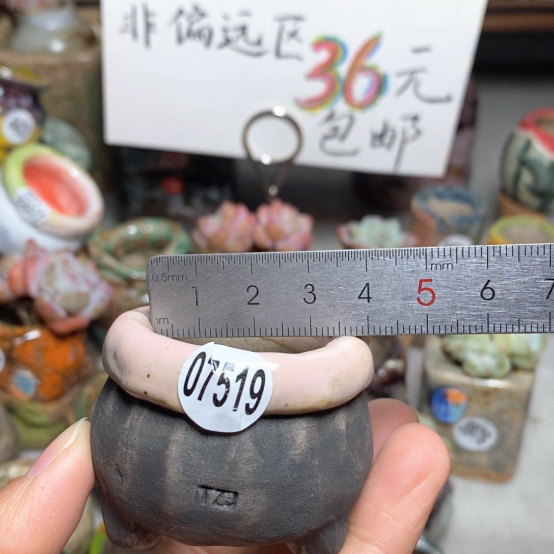 花盆拍3个送一个小礼物