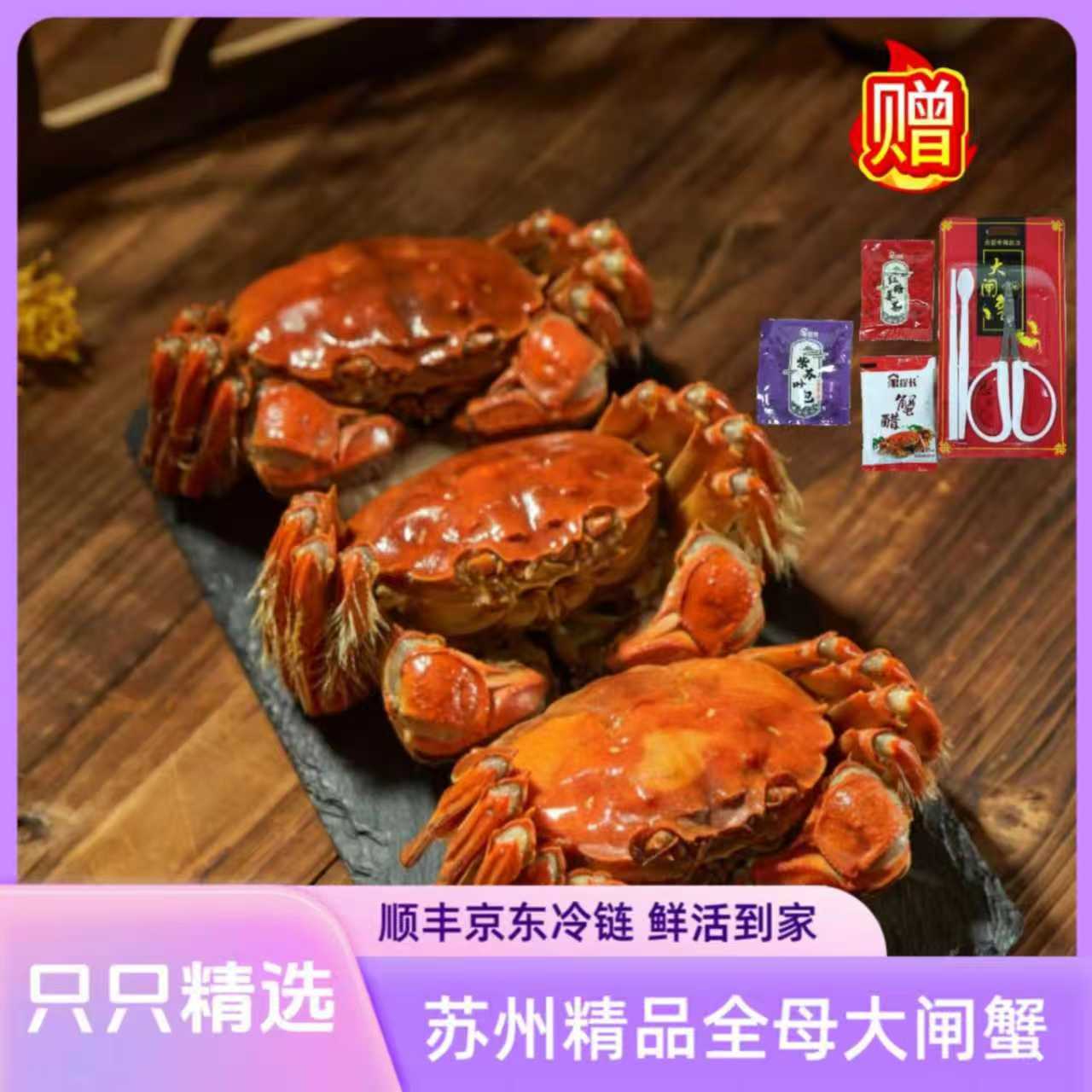 活蟹现货 鲜活大闸蟹母蟹4.0-3.7两8只/10只顺丰京东冷链发货