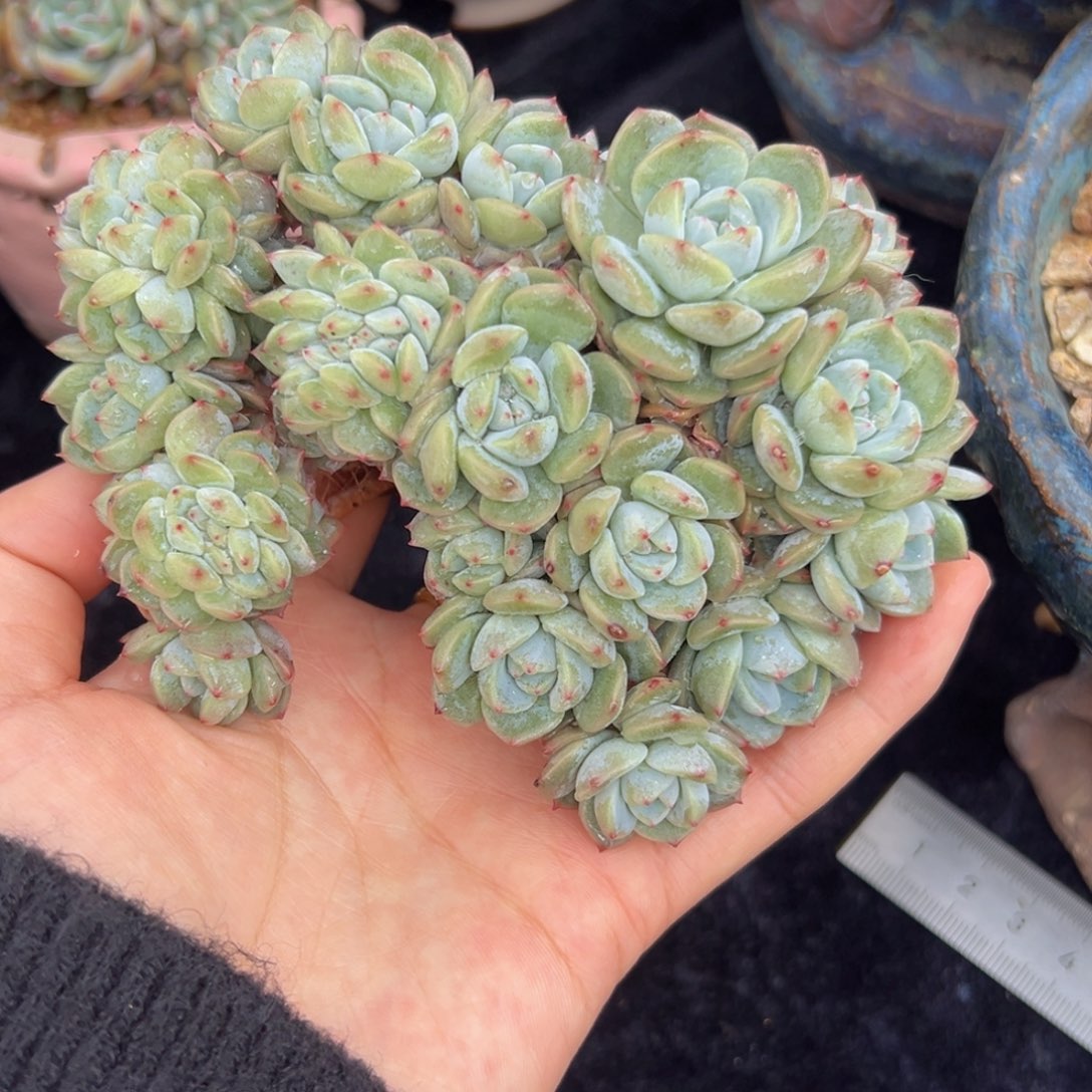 新年快乐 新年快乐