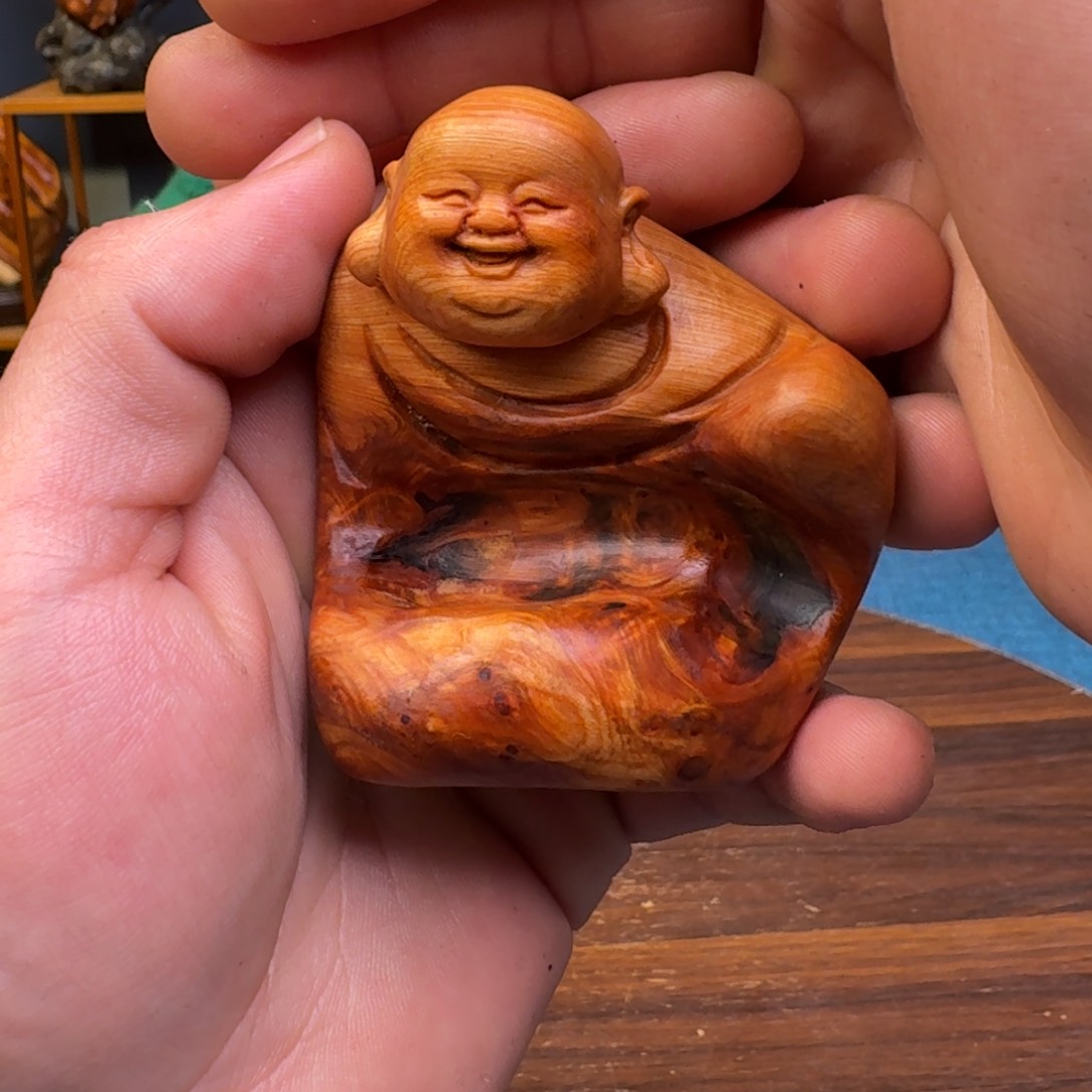 柏木（崖柏）太行崖柏