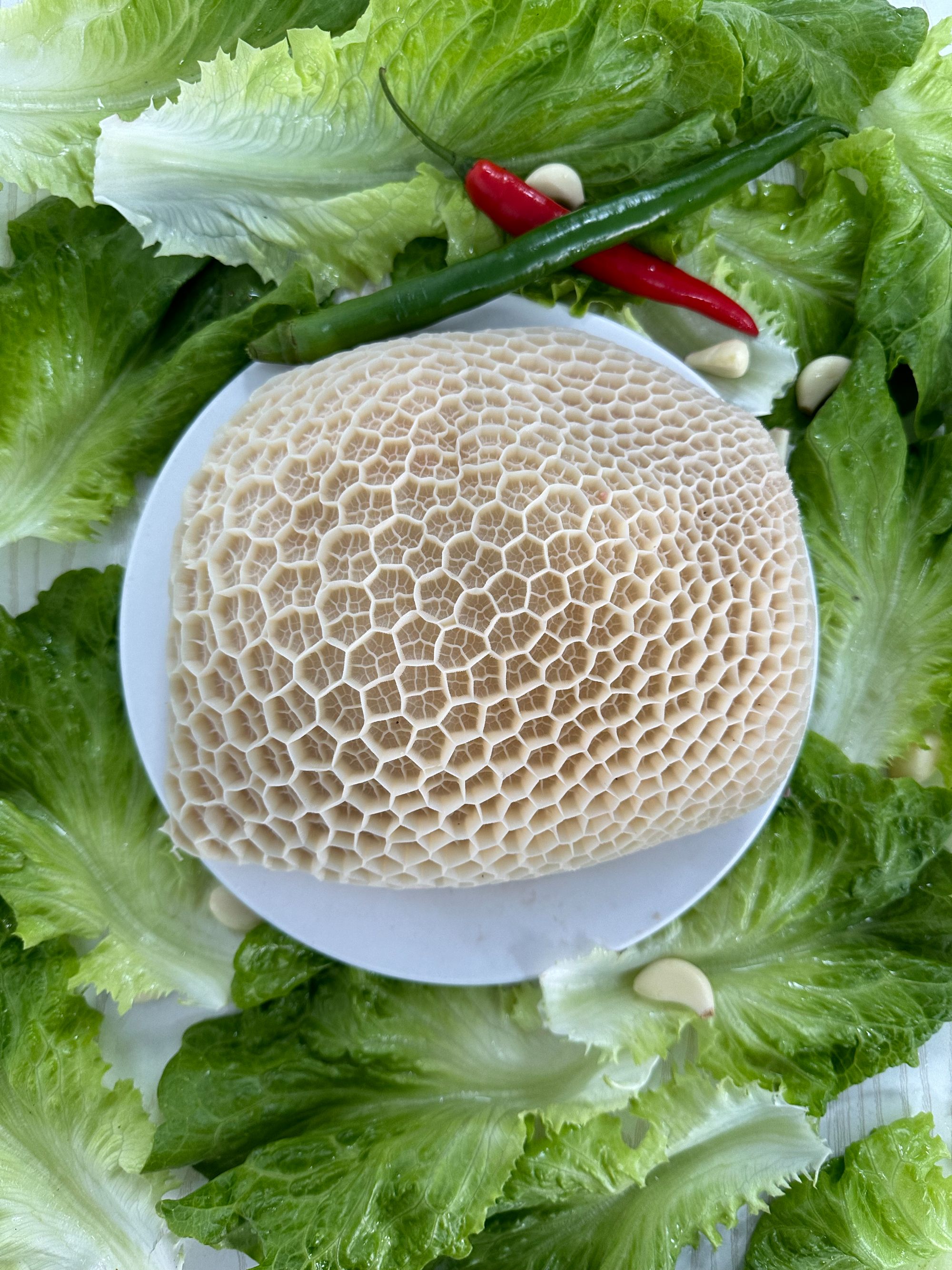 2-4斤新鲜金钱肚  焖炖卤煮 真空带少许水份介意慎拍