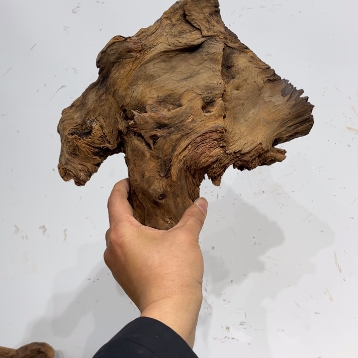 崖***柏柏木崖柏等自然景和自然风光