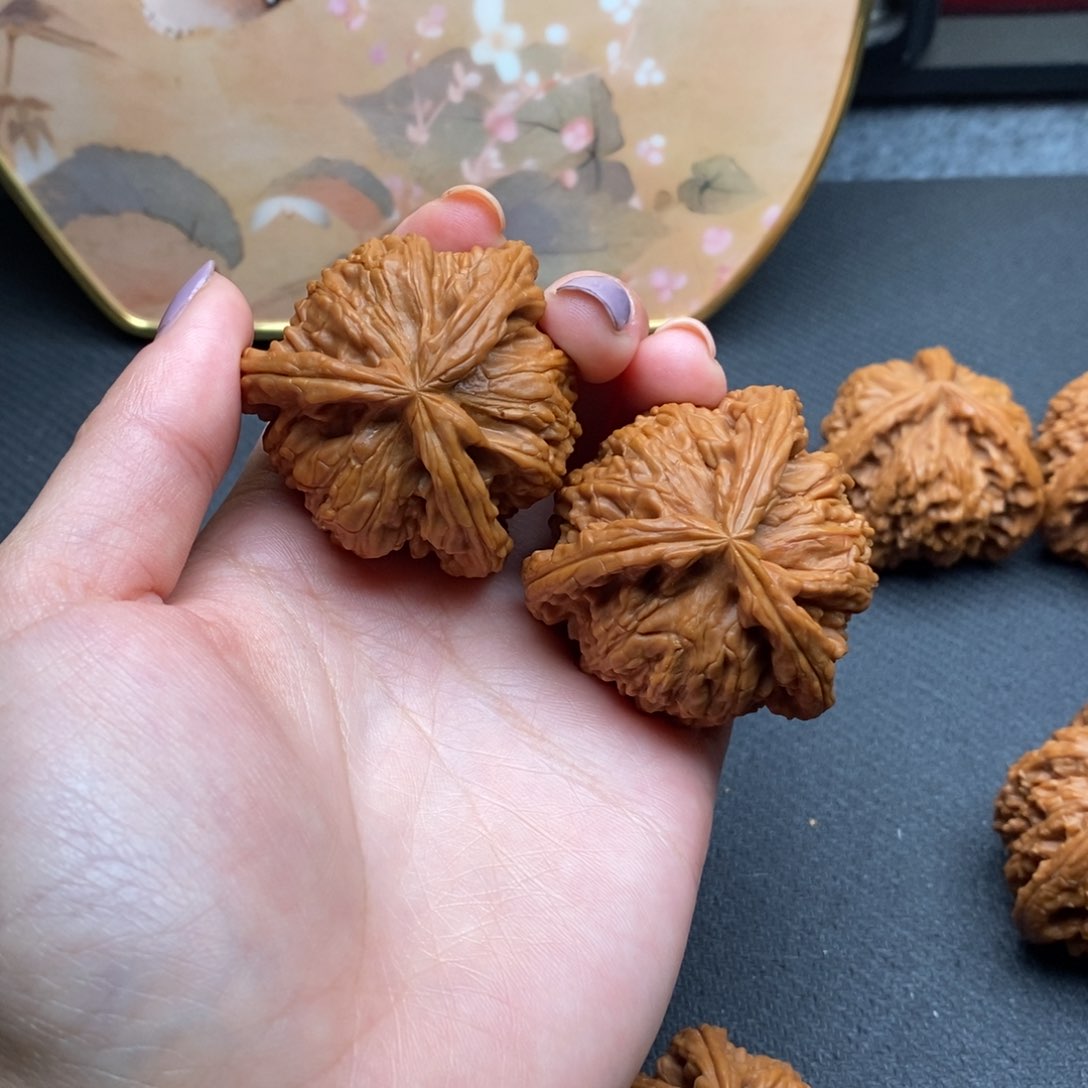 贪****师白狮子11111111111