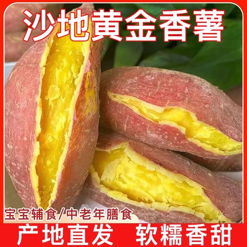 【到手带箱5斤】沙地板栗红薯蜜薯软糯【物流断裂不影响食用】